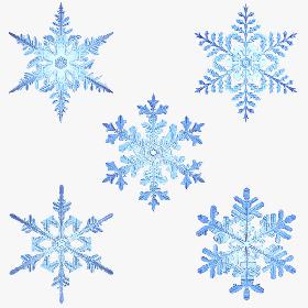 Collection of Snowflakes